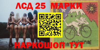 индика Можайск
